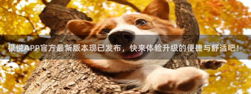 壹号top娱乐：极悦APP官方最新版本现已发布，快来体验升级的便捷与舒适吧！
