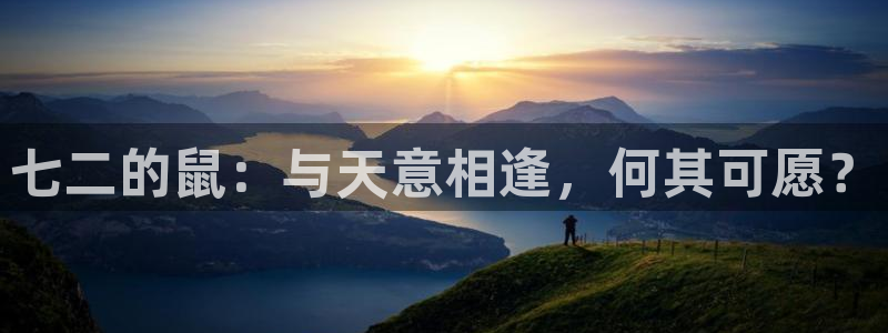 门徒娱乐官方app下载安装：七二的鼠：与天意相逢，何其可愿？
