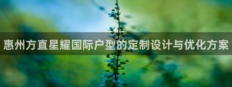门徒娱乐下载：惠州方直星耀国际户型的定制设计与优化方案