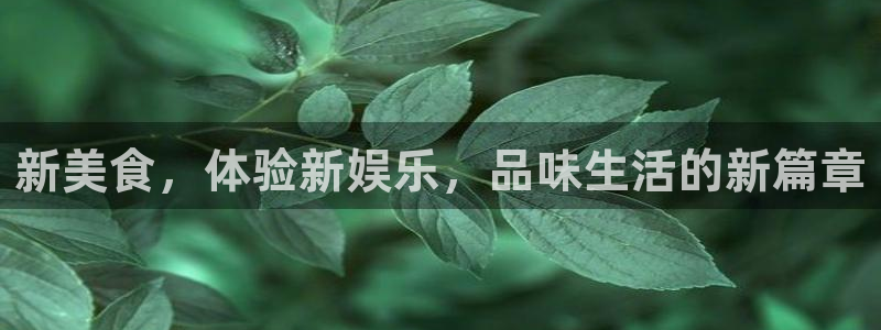 门徒娱乐 - ng大舞台,有梦你就来：新美食，体验新娱乐，品味生活的新篇章