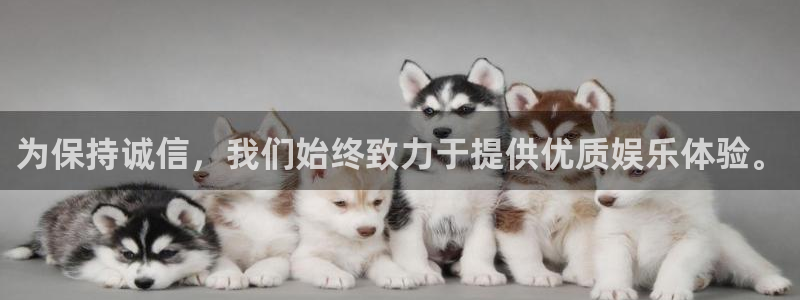 门徒娱乐安卓.立即访问注册.中国：为保持诚信，我们始终致力于提供优质娱乐体验。
