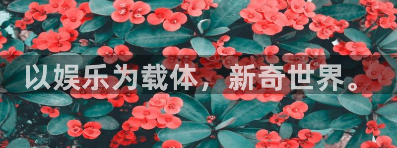 门徒在线登录注册网址：以娱乐为载体，新奇世界。