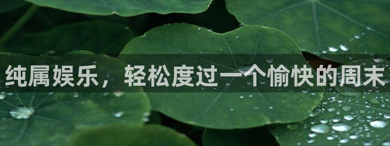门徒娱乐界面视觉重构.活动专区.中国：纯属娱乐，轻松度过一个愉快的周末