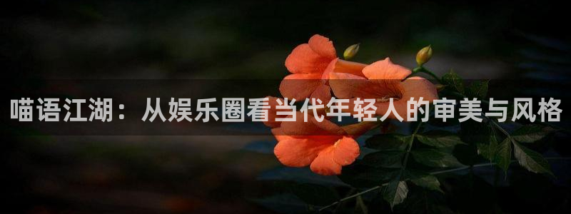 门徒娱乐哪个游戏好爆：喵语江湖：从娱乐圈看当代年轻人的审美与风格