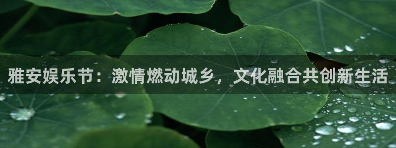 门徒娱乐在线登录：雅安娱乐节：激情燃动城乡，文化融合共创新生活