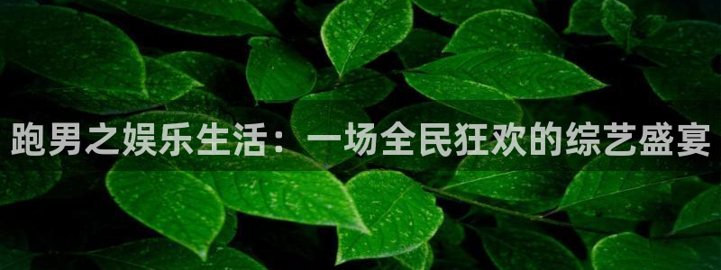 门徒娱乐app官网下载：跑男之娱乐生活：一场全民狂欢的综艺盛宴