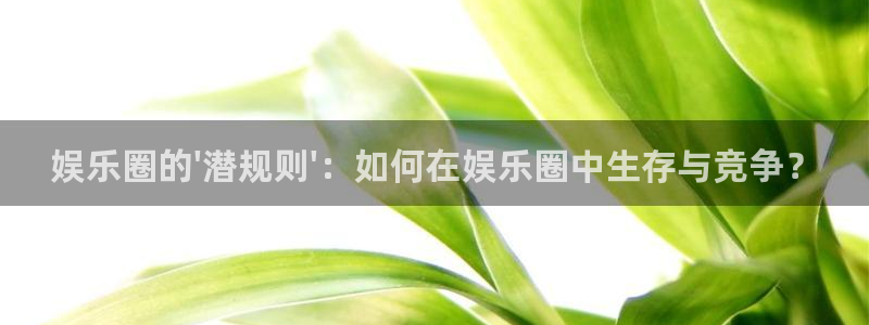 夏洛特与五门徒漫画平台：娱乐圈的\'潜规则\'：如何在娱乐圈中生存与竞争？