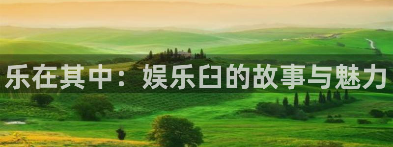 电子游戏门徒娱乐：乐在其中：娱乐臼的故事与魅力