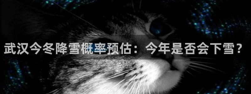 壹号大舞台官网：武汉今冬降雪概率预估：今年是否会下雪？