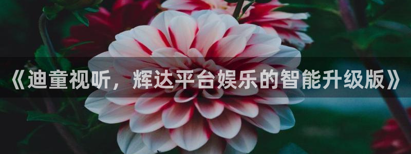门徒娱乐的平台：《迪童视听，辉达平台娱乐的智能升级版》